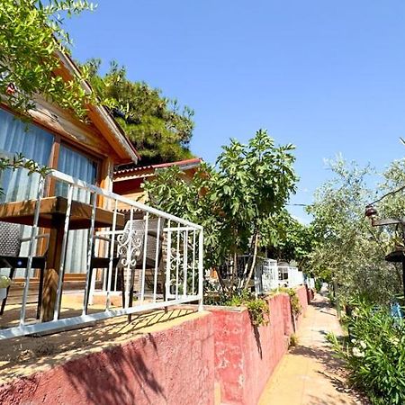 Gaia Bungalow Bed & Breakfast ไอวาลิค ภายนอก รูปภาพ